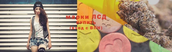 ГАЛЛЮЦИНОГЕННЫЕ ГРИБЫ Аркадак