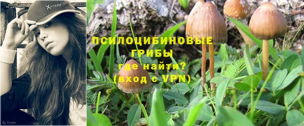 ГАЛЛЮЦИНОГЕННЫЕ ГРИБЫ Аркадак
