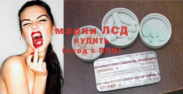 ГАЛЛЮЦИНОГЕННЫЕ ГРИБЫ Аркадак
