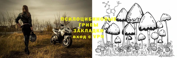 а пвп мука Армянск